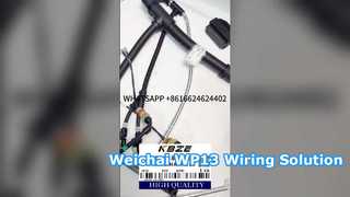 KBZE 1006889780 WEICHAI WP13 CAIXA DE FIAÇÃO DO MOTOR PARA LGMG SANY XCMG TONLY MINERAÇÃO CAMINHÃO DUMP